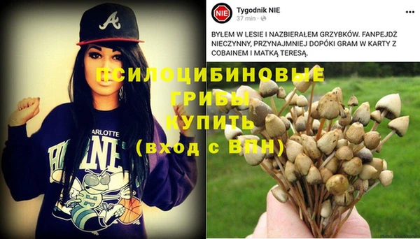 амф Абинск